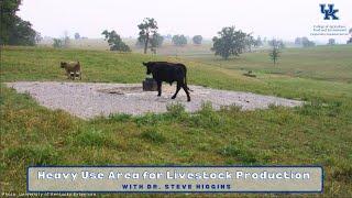 Heavy Use Area for Livestock Production