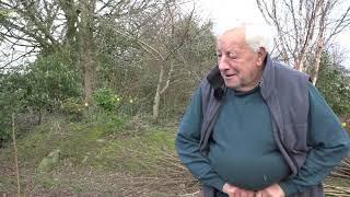 Ash Trees and Honey Bees   Jim Dunne of Oulart