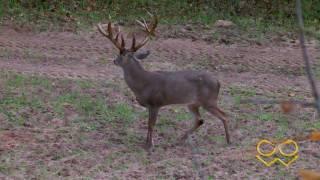 Twisted Oaks Ranch with Jeff Copeland