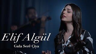 Elif Algül - Gula Serê Çîya [Official Music Video]