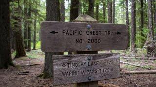 Being Hunted By Bigfoot On The Pacific Crest Trail... How My Best Friend Went Missing!