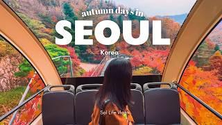 Autumn in Seoul, Korea VLOG | best autumn foliage spots, Hwadan Forest, cafes with view, home baking