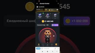 Новый шифр 24 июня #hamsterkombat #шифр #хомяк