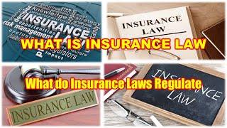 What is Insurance law | Need Of Insurance Lawyers | What do Insurance Laws Regulate