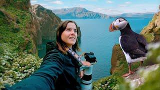 EPIC PUFFIN ISLAND: Capturing Seabirds on Iceland’s Cliffs