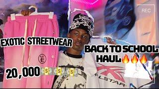 $20,000+ BACK TO SCHOOL CLOTHING HAUL | Hell star,boohooMAN , etc |l