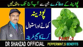 Podina k Fawaid Urdu/Hindi | Pudina ka Istemal | Podina ke Fayde | Pudina Benefits in Urdu