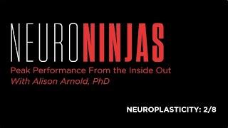 NeuroNinjas with Doc Ali – Neuroplasticity, Part 2/8