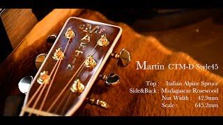 【digimart】Martin CTM-D Style45 Italian Alpine/Madagascar Rosewood