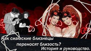 Как сиамские близнецы переносят близость? История и руководство.