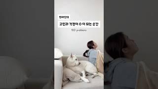 강아지 키우는 사람이라면 무조건 공감하는 순간 (진돗개)