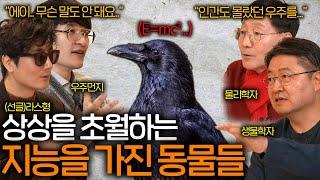 최근 보고되고 있는 놀라운 지능을 가진 동물들 (넘을 수 없는 능력 ㄷㄷ) ㅣ과학을 보다 EP.44