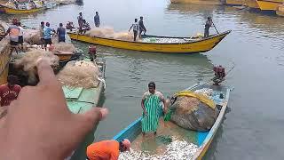 Visakhapatnam Port Tour | Visakhapatnam Fishing Point | विशाखापत्तनम बंदरगाह | import Export Al Info