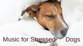 Music for Stressed Dogs - Relaxation for Dogs and Puppies