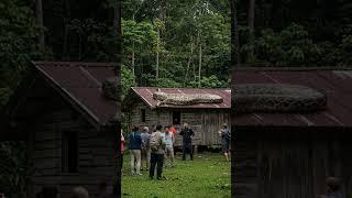 A group people meet Giant Snake #viralvideo