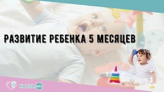 Развитие ребенка 5 месяцев