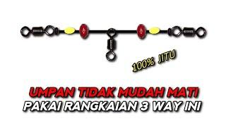 Rangkaian pancing 3 Way hidup | Ngoncer bawah | umpan hidup