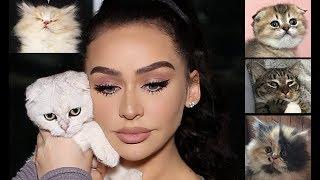 LIVING WITH 5 CATS... Q&A, FAV PRODUCTS & MORE! Carli Bybel