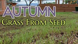 Plant A New Lawn This Fall - Grading & Seeding - Expanding My Flat Grass Space