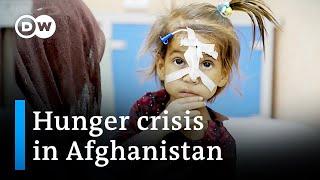 Afghanistan is facing a severe hunger crisis | DW News
