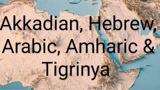 Similarities b/n Akkadian, Hebrew, Arabic & Amharic