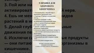 Правила для здорового кишечника #польза