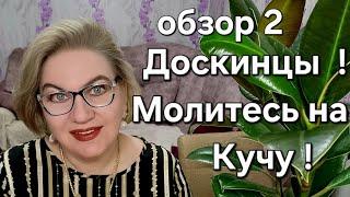 Доскинцы, молитесь на Кучу !