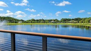 Carrollwood Village Park  Tampa Living ‍️