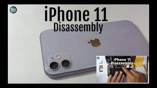 iPhone 11 disassembly