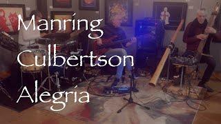 Manring, Culbertson, Alegria, Live footage