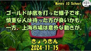 2024-11-15　きょうきんGT - Gold Today 日々の金価格を一望できるチャンネル！ (017 Edo Koban 10)