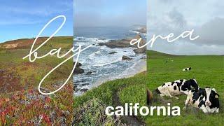 A week in california (bay area hometown)