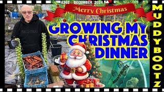 362  GROWING MY CHRISTMAS DINNER  WINTER HARVEST 