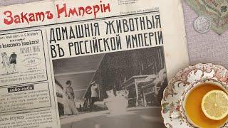 Домашние животные в Российской империи