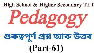 Pedagogy MCQs practice for High School TET & Higher Secondary TET (Part-61)