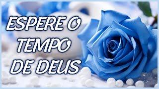 Mensagem de Bom Dia I Espere o Tempo de Deus (Reflexão)