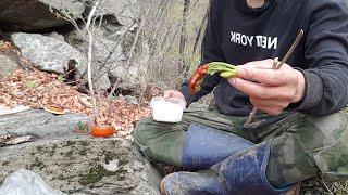 시골총각 득이의 좌충우돌 산나물 산 두릅 산행기 배고프니 밥도먹자