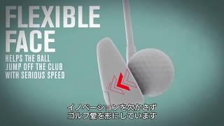 Oracle Marketing Cloud(Responsys) 事例 Callaway Golf