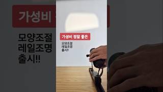 요즘 갤러리에서 많이 사용하는 레일조명 | 모양조절 기능 #갤러리조명 #레일조명 #레일등