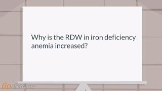 Why is the RDW increased in iron deficiency anemia?