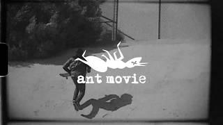 BlackLabel | Ant Movie | Peter Watkins