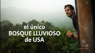 El ÚNICO Bosque lluvioso de USA | Puerto Rico #2 Alan por el mundo