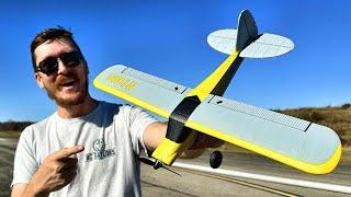 PERFECT RC Plane Under $100 for BEGINNERS!
