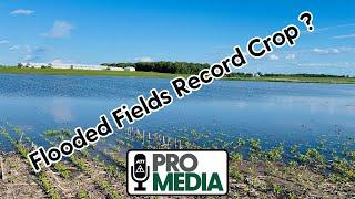 Flooded Fields Record Crop ?