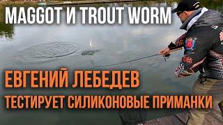 Евгений Лебедев тестирует силиконовые приманки Maggot и Trout Worm от AKARA для ловли форели.
