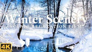 Beautiful Relaxing Music, Peaceful Soothing Instrumental Music, "Winter Scenery"  In 4K Ultra HD