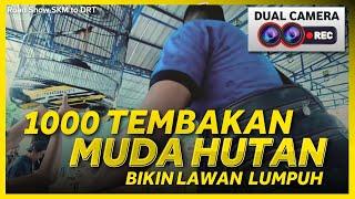 Murai MUDA HUTAN KUASAI KELAS UTAMA SKM to DRT