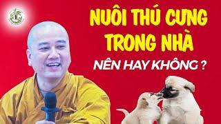 Nuôi Thú Cưng Trong Nhà (giải đáp hay) - Vấn Đáp Thầy Thích Pháp Hòa