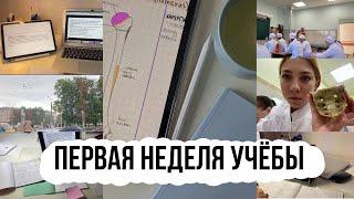 первая неделя учёбы в медицинском