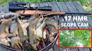 SAVAGE .17 HMR SCOPE CAM SQUIRREL HUNT